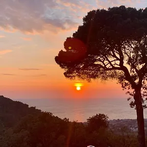https://villa-gemma-57128.it-tuscanyhotel.com